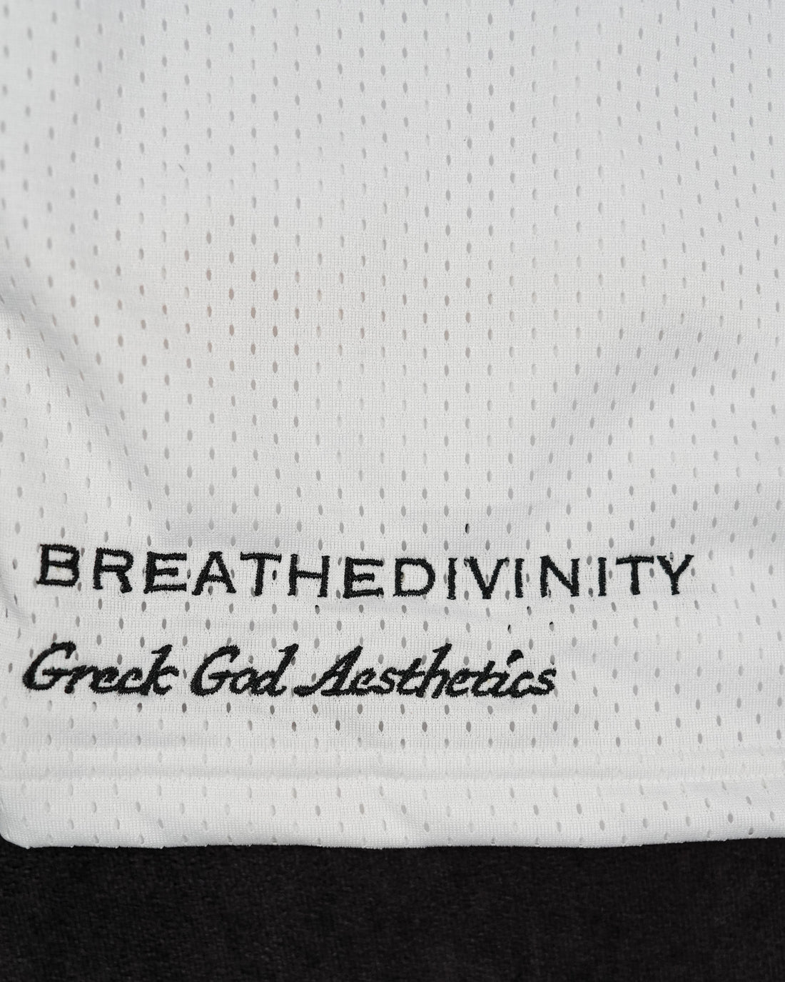 Skeletal Embroidered Bodybuilding mesh shorts [DIVINE WHITE]