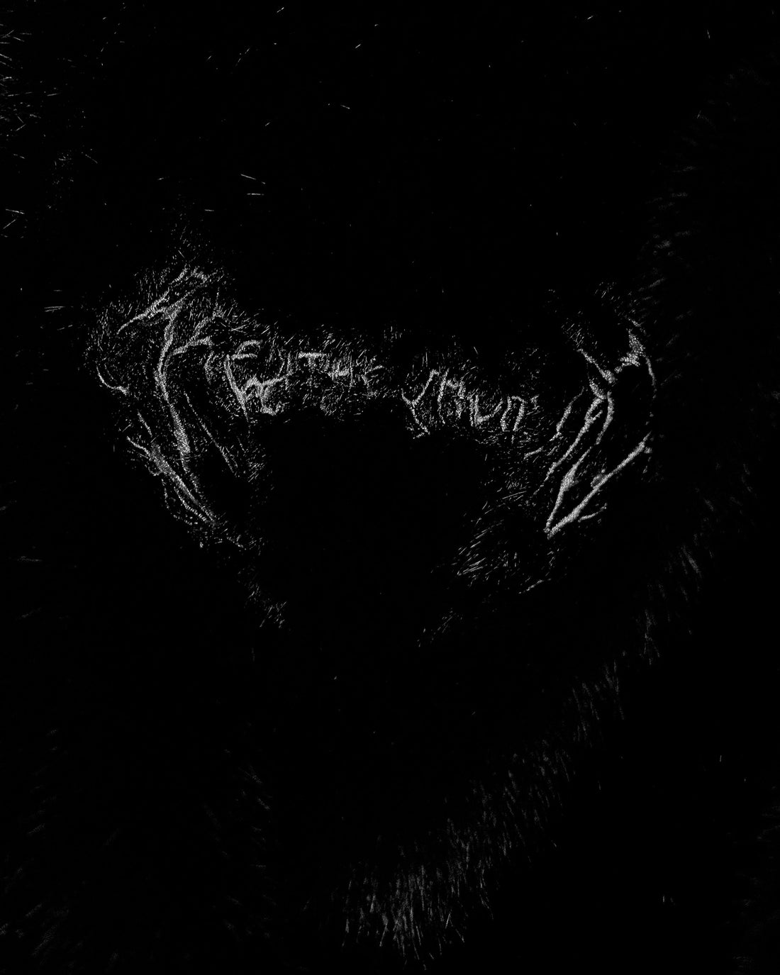 Women's Essential Fleece Jacket [DARKNESS]