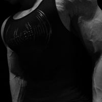 Eclipse Advanced Maiden Beater [2-Pack]